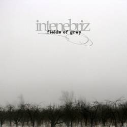 In Tenebriz : Fields of Glory In Tenebriz : Fields of Glory